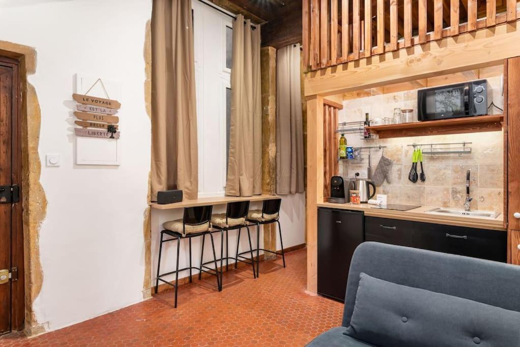 Appartement Le Cocon De Saint-Jean à Lyon Extérieur photo
