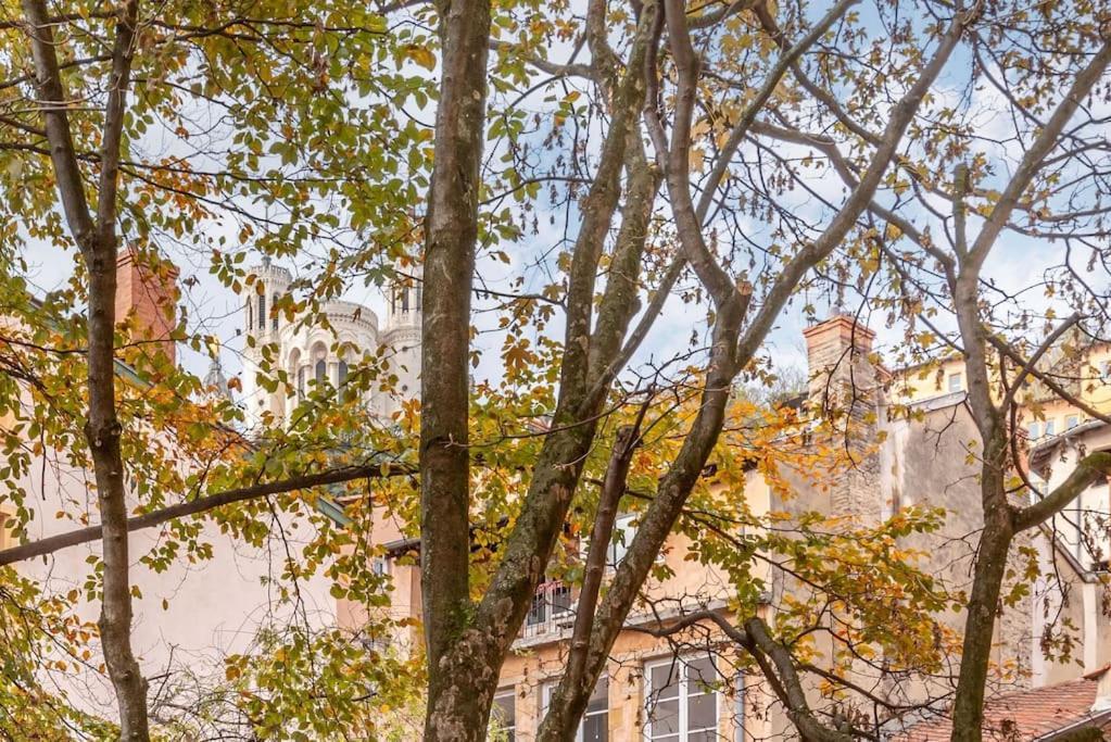Appartement Le Cocon De Saint-Jean à Lyon Extérieur photo