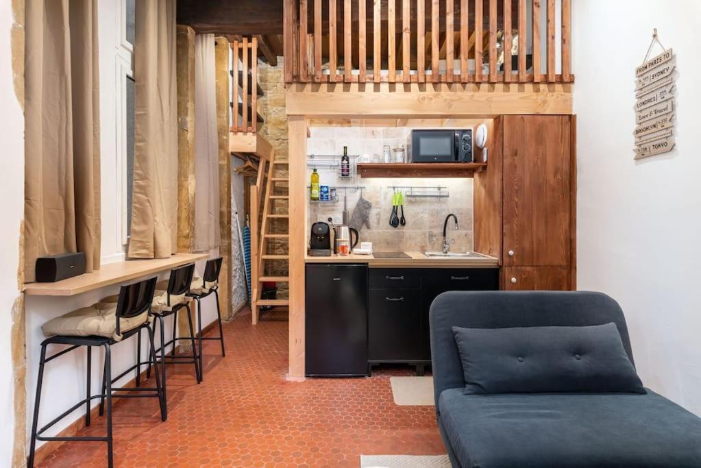 Appartement Le Cocon De Saint-Jean à Lyon Extérieur photo